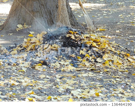 fallen leaves bonfire fallen leaves bonfire 136464190
