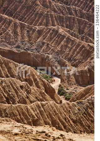 Aksai canyon in Kyrgyzstan with arid sculpted landform and deep ravine. Natural desert landscape and rock formation for travel and geology. 136464222