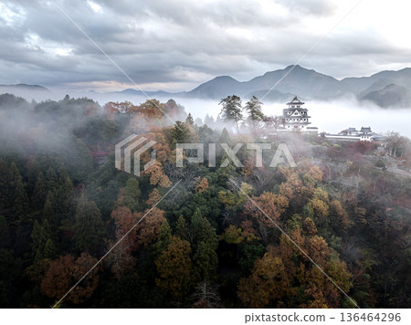 Aerial view of Gujo Hachiman Castle in autumn shrouded in morning mist 136464296