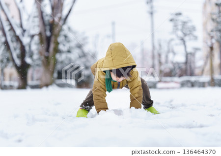 A 6-year-old boy playing in a snowy park 136464370