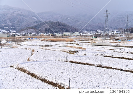 Snow-covered rice fields 136464595