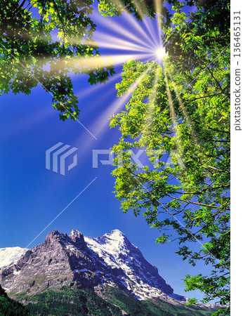 Spectacular view of the North Face of the Eiger from the village of Grindelwald 136465131