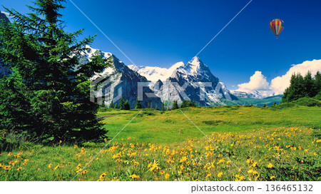 Spectacular view of the North Face of the Eiger from the village of Grindelwald 136465132