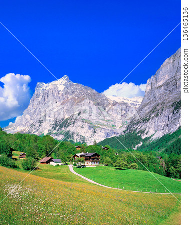 Spectacular view of the Wetterhorn from the village of Grindelwald 136465136