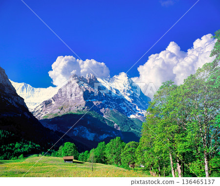 Spectacular view of the North Face of the Eiger from the village of Grindelwald 136465137