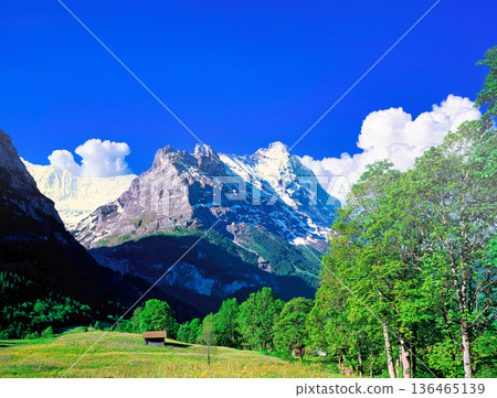 Spectacular view of the North Face of the Eiger from the village of Grindelwald 136465139