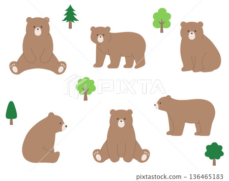 Cute bear vector illustration set. Bear, animal 136465183