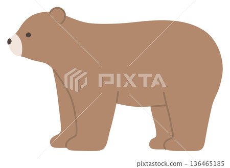 可愛的熊的向量插圖。熊,行走 可愛的熊的向量插圖。熊,行走 136465185