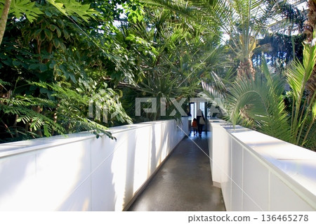 我們去植物園：板橋區熱帶環境植物園 136465278