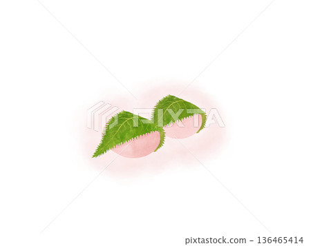 兩塊關西風味的櫻餅（道明寺）和飄落的櫻花花瓣，日式點心，春季甜點，水彩插圖 136465414