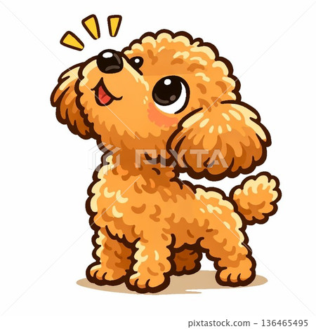可愛的玩具貴賓犬 可愛的玩具貴賓犬 136465495