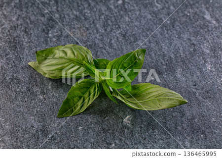 Green fresh aroma basil leaves Green fresh aroma basil leaves 136465995