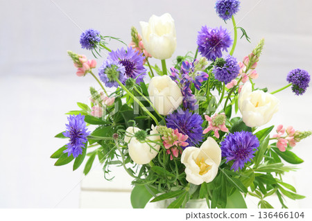 Tulip and flower arrangement 136466104