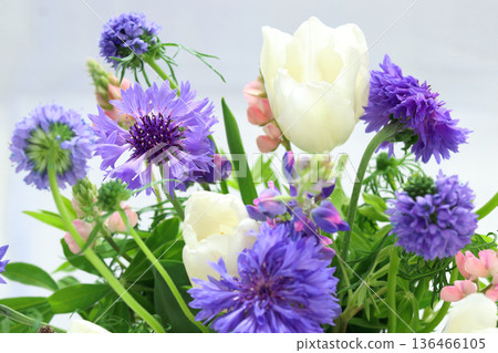 Tulip and flower arrangement 136466105