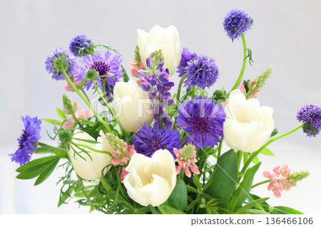 Tulip and flower arrangement 136466106