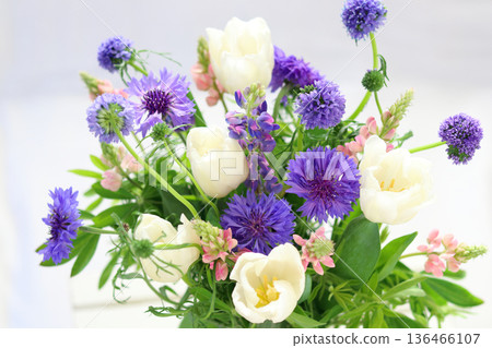 Tulip and flower arrangement 136466107
