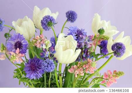 Tulip and flower arrangement 136466108
