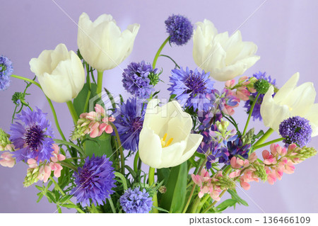 Tulip and flower arrangement 136466109