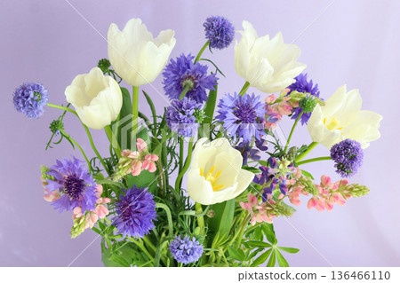 Tulip and flower arrangement 136466110