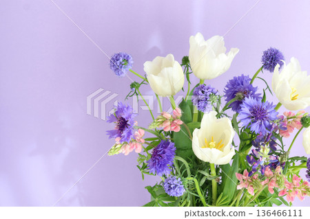 Tulip and flower arrangement 136466111