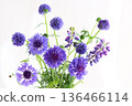 Blue flower arrangement 136466114