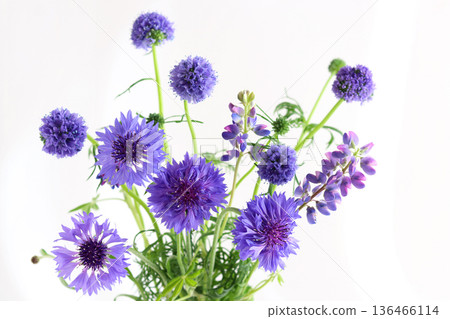 藍色花束 136466114