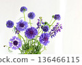 Blue flower arrangement 136466115