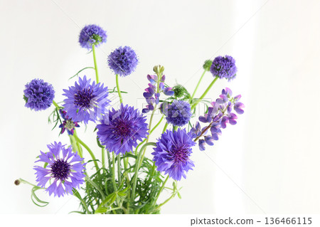 藍色花束 136466115