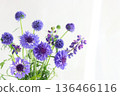 Blue flower arrangement 136466116