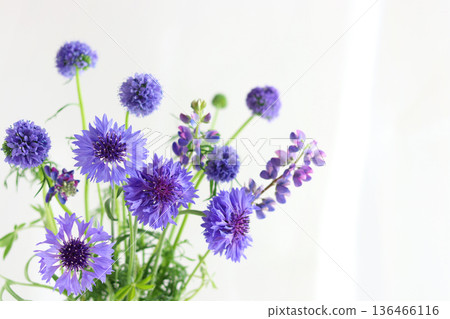 藍色花束 136466116
