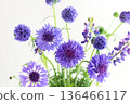 Blue flower arrangement 136466117