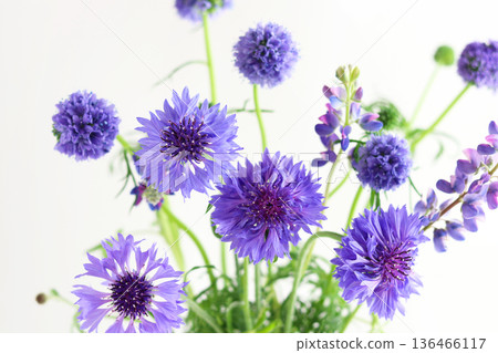 藍色花束 藍色花束 136466117