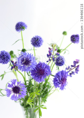 藍色花束 136466118