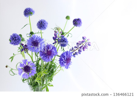 藍色花束 136466121