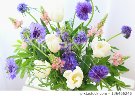 鬱金香和花束 136466246