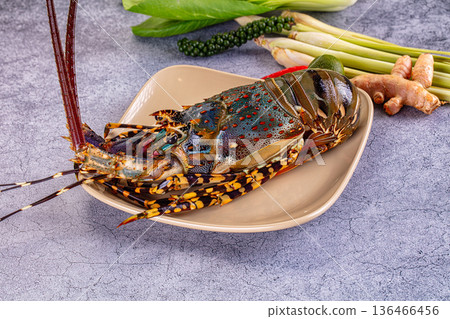Raw wild fresh spiny lobster Raw wild fresh spiny lobster 136466456