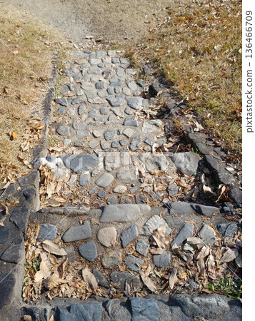 Cobbled street Cobbled street 136466709