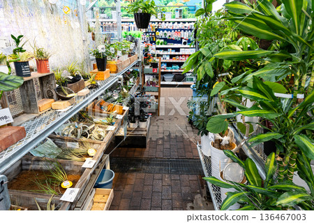 探索位於東京都狛江市泉本町的Unidy狛江店一樓的室內植物區。 探索位於東京都狛江市泉本町的Unidy狛江店一樓的室內植物區。 136467003