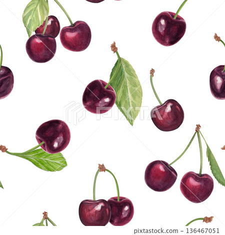 Ripe cherry berries, hand painted watercolor seamless pattern isolated on white background, fruit surface design for food packaging, textile prints, wrapping paper, branding and decorative projects 136467051