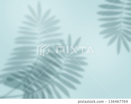 Background material with palm leaf shadows reflected on a light blue wall Background material with palm leaf shadows reflected on a light blue wall 136467769