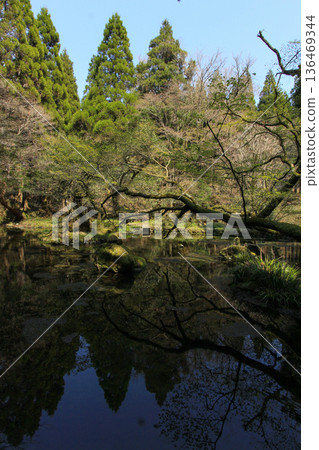 Yamabushi水源 136469344