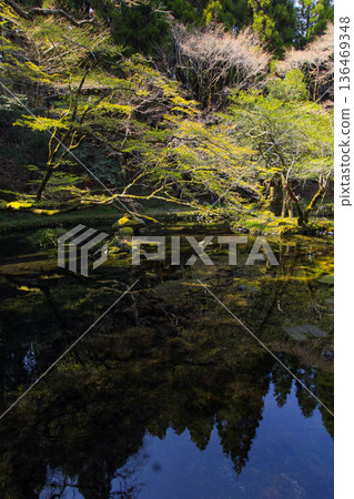 Yamabushi water source Yamabushi water source 136469348