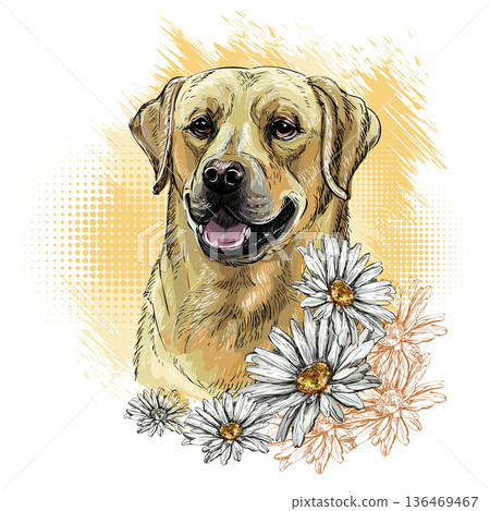 Labrador retriever Dog with flowers hand drawing vector 136469467