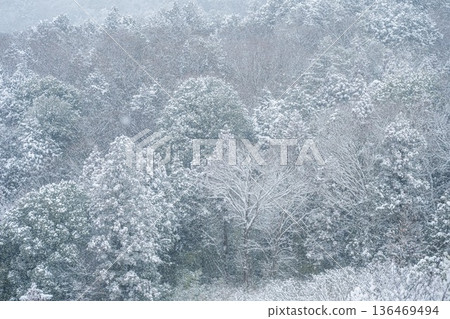 雪笠間市出雲大社 雪笠間市出雲大社 136469494