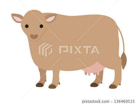 Jersey cow Cute vector illustration of a standing pose facing forward 136469515