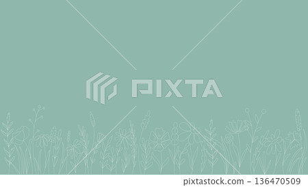 Horizontal background with silhouettes of wildflowers and herbs Horizontal background with silhouettes of wildflowers and herbs 136470509