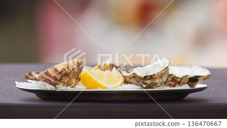 Fresh Oysters On Ice With Lemon Slice Served On Plate For Fine Dining Seafood 136470667