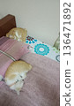 Two adorable orange cats sleeping on bed. 136471892