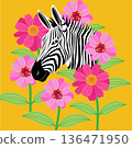 Vector illustration with zebra in a blooming garden 136471950