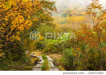 Autumn in Otari Village, Nagano Prefecture - Autumn leaves at Tsugaike Highland - Tsugaike Nature Park Autumn in Otari Village, Nagano Prefecture - Autumn leaves at Tsugaike Highland - Tsugaike Nature Park 136472400